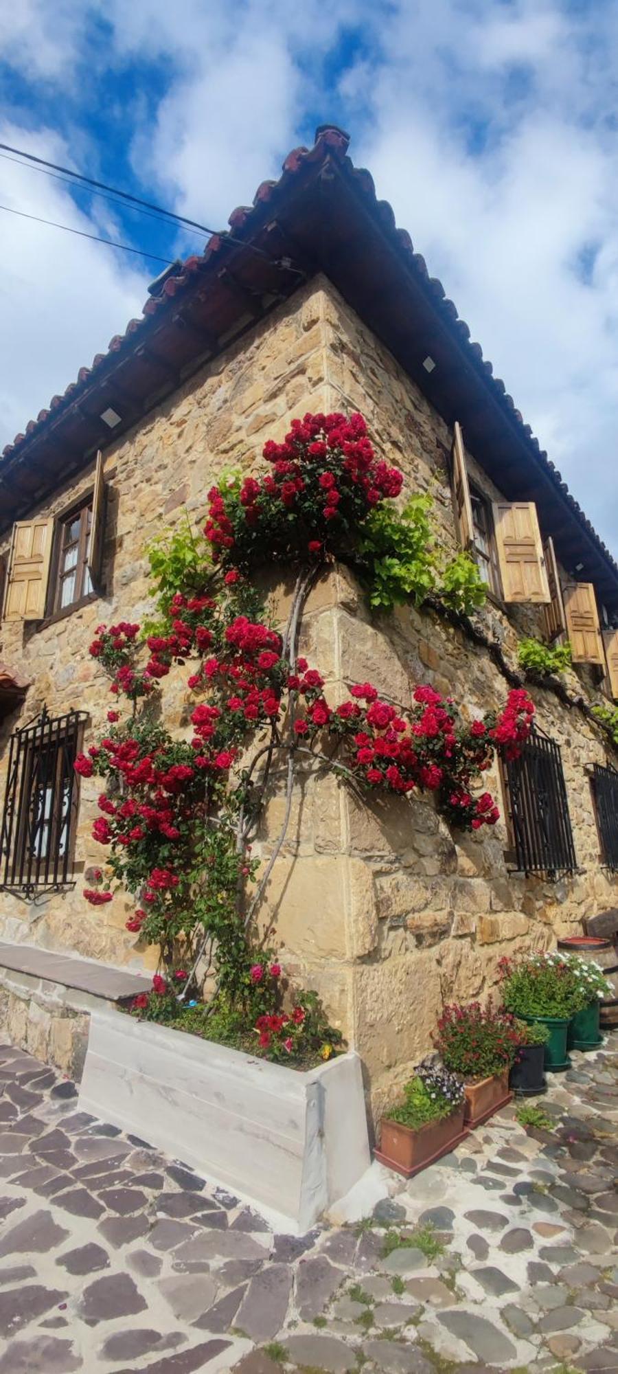 Nuestra casa de Luriezo Villa Cabezón de Liébana Exterior foto